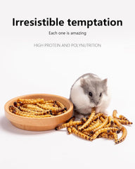 Niteangel Hamster Snack & Treats Toy - Small Animal Natural Treat for Dwarf Syrian Robo Hamsters Gerbils Mice Lemmings Degus or Other Small-Sized Pets