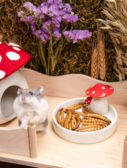 Niteangel Hamster Snack & Treats Toy - Small Animal Natural Treat for Dwarf Syrian Robo Hamsters Gerbils Mice Lemmings Degus or Other Small-Sized Pets