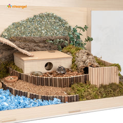 Niteangel Bigger World - MDF Aspen Terrarium for Hamster Gerbils Mice Lemming Degus or Other Small-Sized Pets