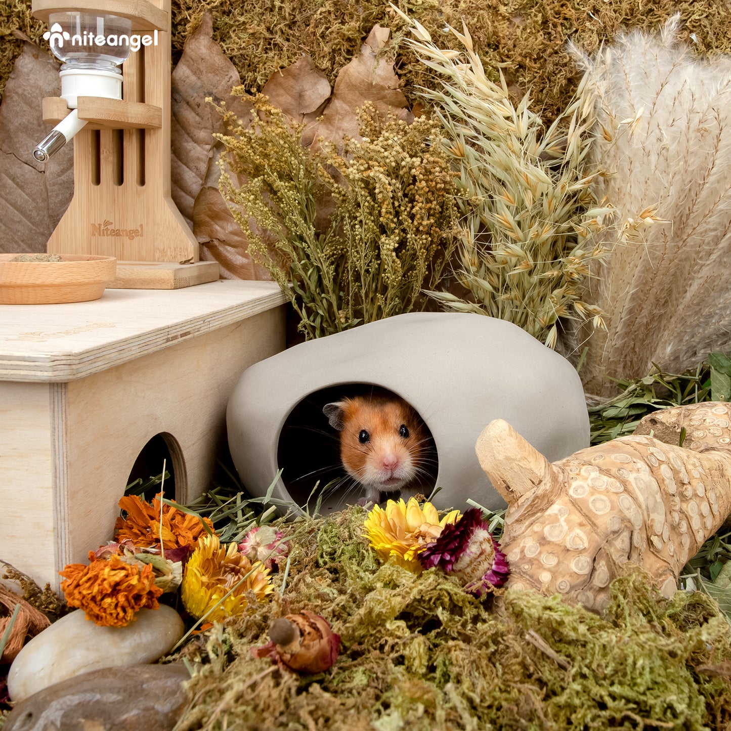 Niteangel Ceramic Hamster Habitat Hideout: Hideaway House for Syrian Dwarf Hamster Mice Gerbils Lemmings or Other Similar-Sized Small Pet (Stone-Shaped)