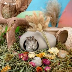 Niteangel Ceramic Hamster Habitat Hideout: Hideaway House for Syrian Dwarf Hamster Mice Gerbils Lemmings or Other Similar-Sized Small Pet (Stone-Shaped)