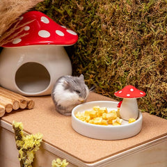 Niteangel Ceramic Hamster Habitat Hideout (Mushroom-Shaped Feeding & Water Bowls)