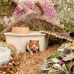 Niteangel Birch Chamber Maze Hamster Hideout - Small Pets Forest House Habitat Decoration for Hamster Mice Gerbils〔Triangle-Shaped Hamster Hut〕