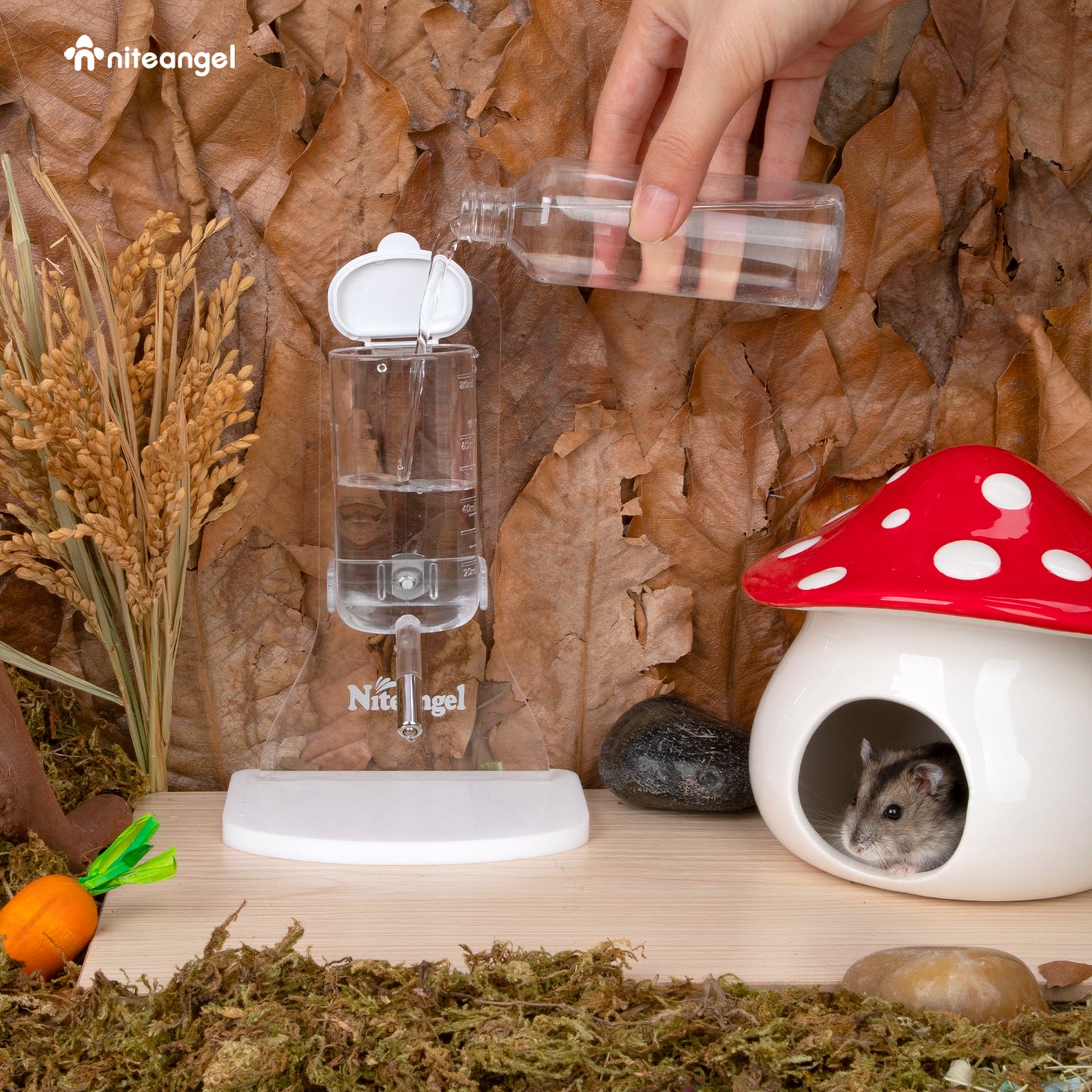 Niteangel Water Bottle with Stand for Syrian Dwarf Hamsters Gerbils Mice Rats Degus Small pet (Transparent)