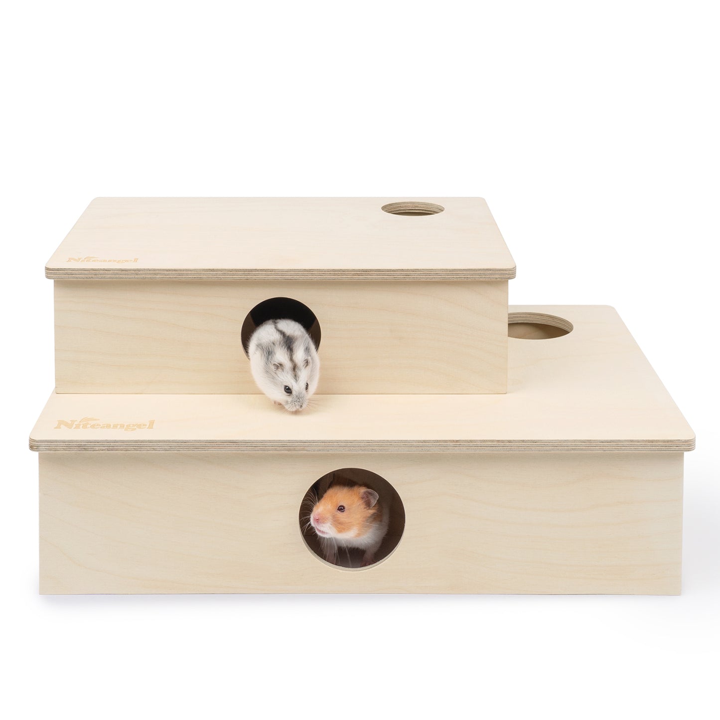 Niteangel Multi-Chamber Hamster House Maze: Multi-Room Hideouts & Tunnel Exploring Toys〔6-Room〕