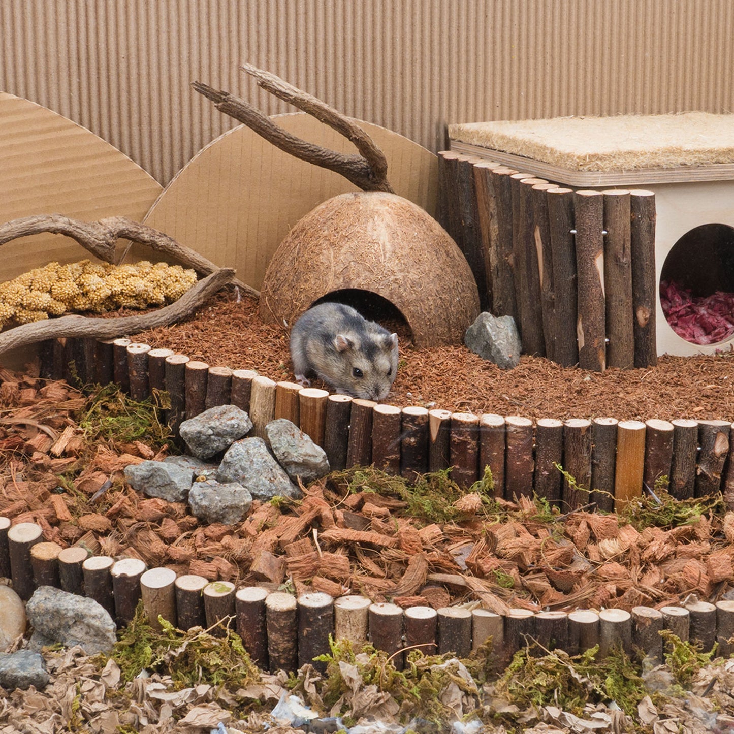 Niteangel Coco Peat & Chips Dry Digging & Burrowing Base for Rodent Pets
