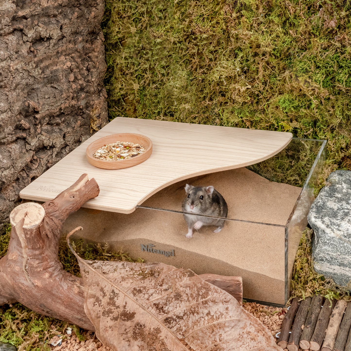 Niteangel Small Animal Sand-Bath Box - Acrylic Critter's Sand Bath Shower Room & Digging Sand Container〔Rectangle〕