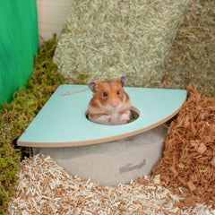 Niteangel Small Animal Sand-Bath Box - Acrylic Critter's Sand Bath Shower Room & Digging Sand Container〔Triangle〕