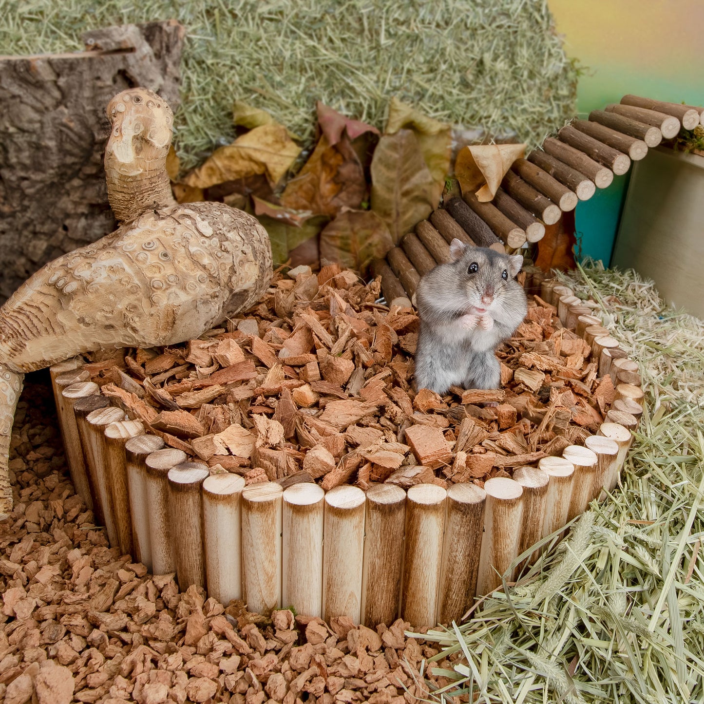 Niteangel Coco Peat & Chips Dry Digging & Burrowing Base for Rodent Pets