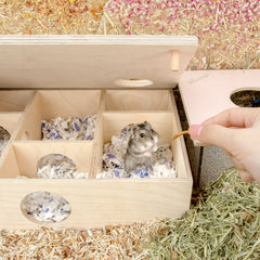 Niteangel Multi-Chamber Hamster House Maze: Multi-Room Hideouts & Tunnel Exploring Toys〔6-Room〕