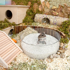 Niteangel Training Litter Potty Sand - Hamster Sand Bath for Syrian Dwarf Hamsters Gerbils Mice Lemming Degus or Other Small-Sized Pets