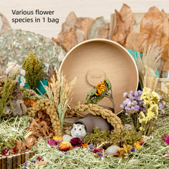 Niteangel harvest wind dried flowers and sprays for hamsters gerbils mice