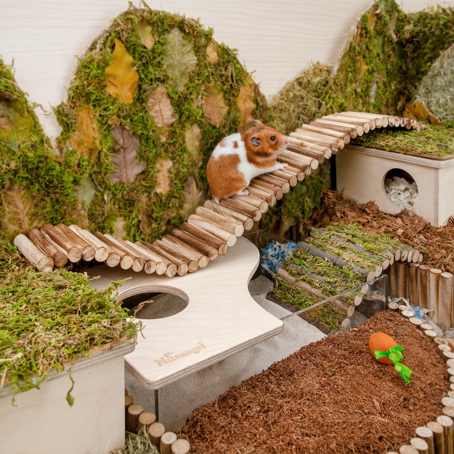 Niteangel Hamster Suspension Bridge Toy - Long Climbing Ladder