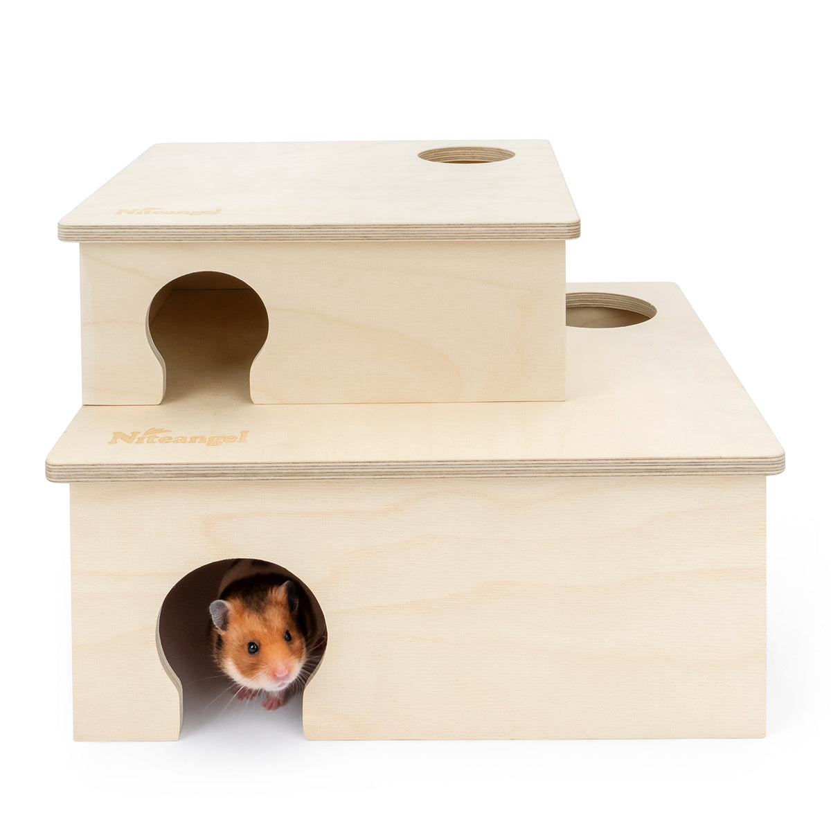 Niteangel 3-Chamber Hideout For Hamsters & Mice