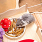Niteangel Hamster Snack & Treats Toy - Small Animal Natural Treat for Dwarf Syrian Robo Hamsters Gerbils Mice Lemmings Degus or Other Small-Sized Pets