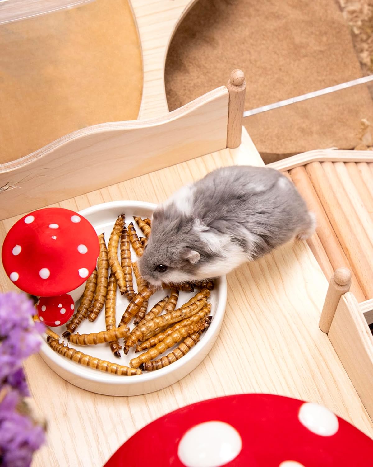 Niteangel Hamster Snack & Treats Toy - Small Animal Natural Treat for Dwarf Syrian Robo Hamsters Gerbils Mice Lemmings Degus or Other Small-Sized Pets