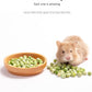 Niteangel Hamster Snack & Treats Toy - Small Animal Natural Treat for Dwarf Syrian Robo Hamsters Gerbils Mice Lemmings Degus or Other Small-Sized Pets