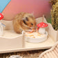 Niteangel Hamster Snack & Treats Toy - Small Animal Natural Treat for Dwarf Syrian Robo Hamsters Gerbils Mice Lemmings Degus or Other Small-Sized Pets