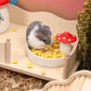 Niteangel Hamster Snack & Treats Toy - Small Animal Natural Treat for Dwarf Syrian Robo Hamsters Gerbils Mice Lemmings Degus or Other Small-Sized Pets