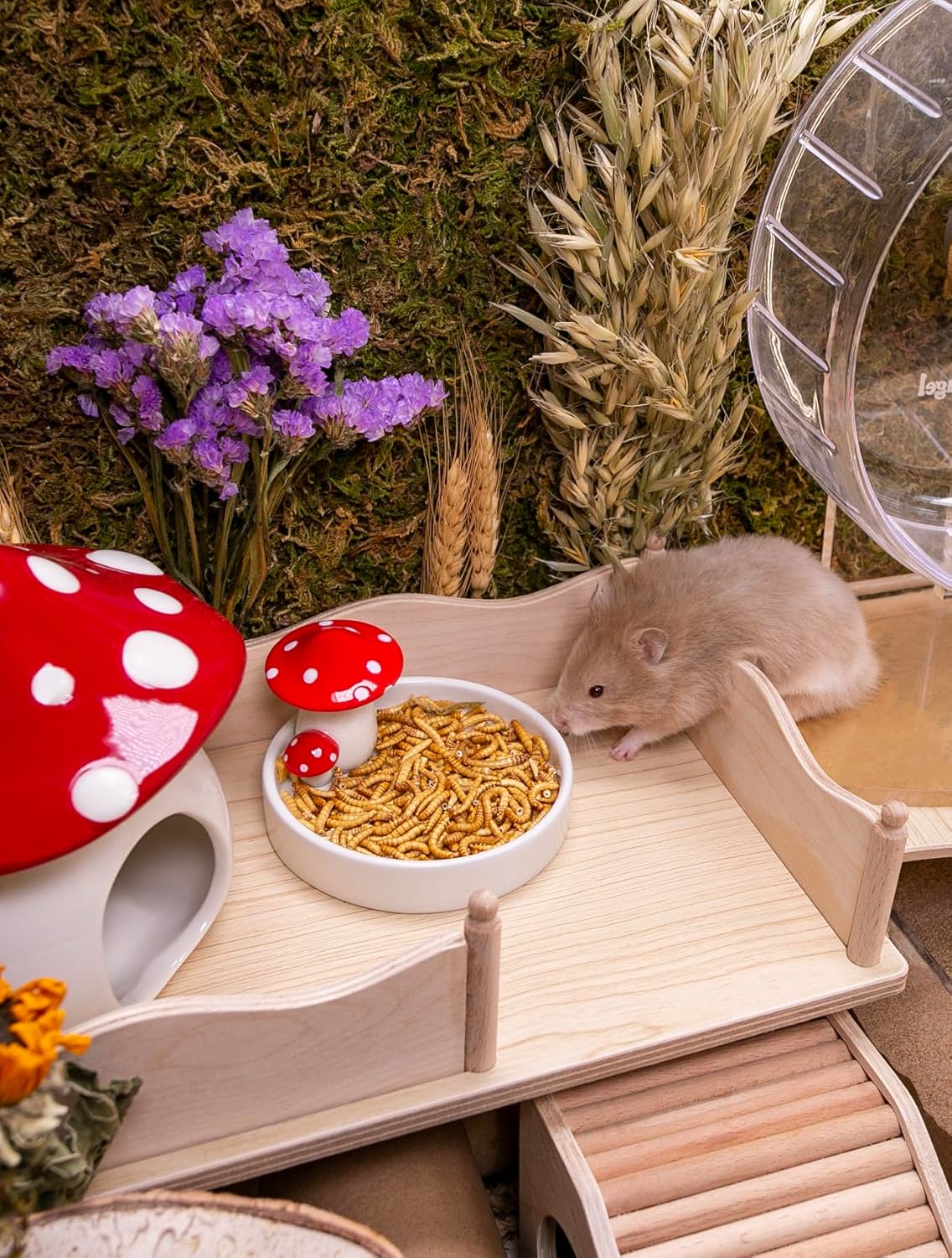 Niteangel Hamster Snack & Treats Toy - Small Animal Natural Treat for Dwarf Syrian Robo Hamsters Gerbils Mice Lemmings Degus or Other Small-Sized Pets