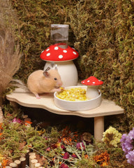 Niteangel Hamster Snack & Treats Toy - Small Animal Natural Treat for Dwarf Syrian Robo Hamsters Gerbils Mice Lemmings Degus or Other Small-Sized Pets