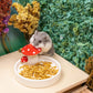 Niteangel Hamster Snack & Treats Toy - Small Animal Natural Treat for Dwarf Syrian Robo Hamsters Gerbils Mice Lemmings Degus or Other Small-Sized Pets