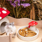 Niteangel Hamster Snack & Treats Toy - Small Animal Natural Treat for Dwarf Syrian Robo Hamsters Gerbils Mice Lemmings Degus or Other Small-Sized Pets