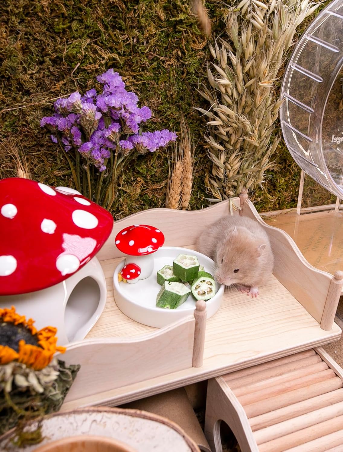 Niteangel Hamster Snack & Treats Toy - Small Animal Natural Treat for Dwarf Syrian Robo Hamsters Gerbils Mice Lemmings Degus or Other Small-Sized Pets