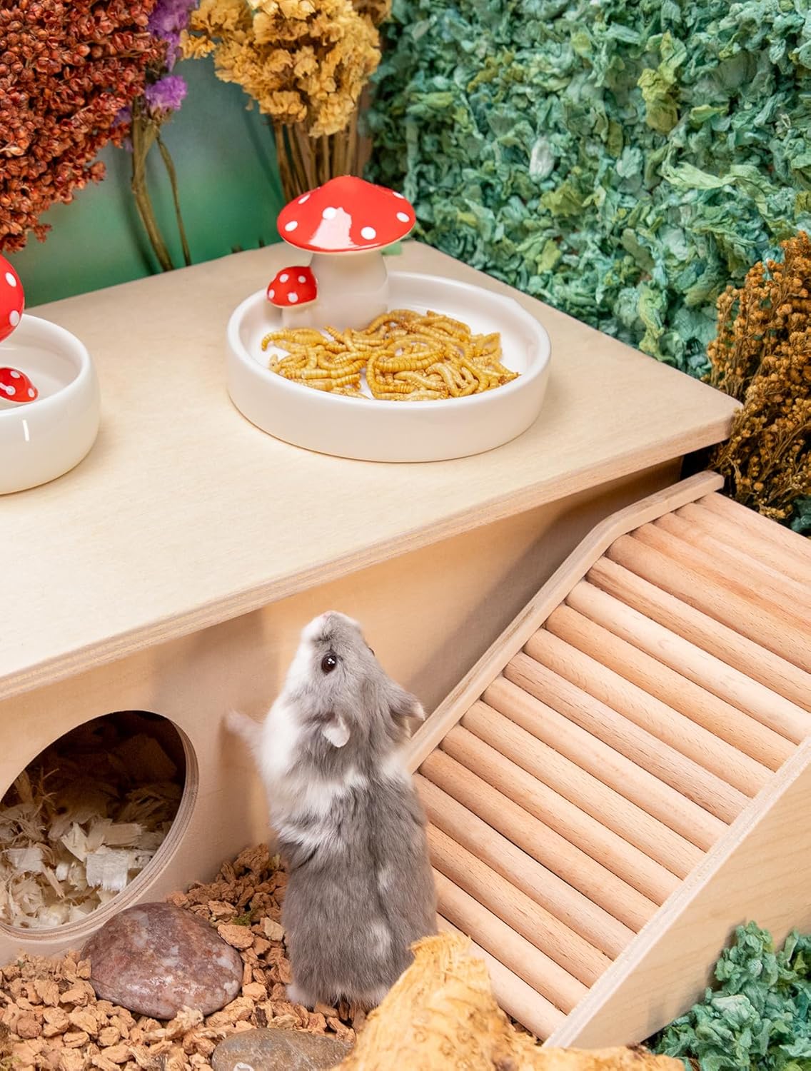 Niteangel Hamster Snack & Treats Toy - Small Animal Natural Treat for Dwarf Syrian Robo Hamsters Gerbils Mice Lemmings Degus or Other Small-Sized Pets