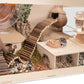 Niteangel Bigger World - MDF Aspen Terrarium for Hamster Gerbils Mice Lemming Degus or Other Small-Sized Pets