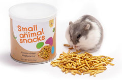 Niteangel Hamster Snack & Treats Toy - Small Animal Natural Treat for Dwarf Syrian Robo Hamsters Gerbils Mice Lemmings Degus or Other Small-Sized Pets