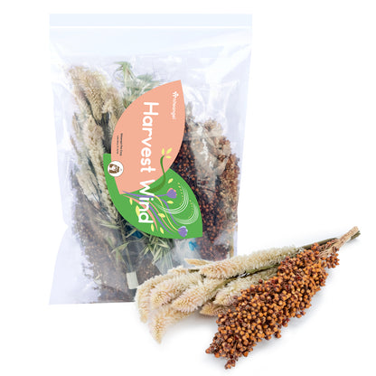 Niteangel harvest wind dried flowers and sprays for hamsters gerbils mice