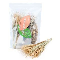 Niteangel harvest wind dried flowers and sprays for hamsters gerbils mice
