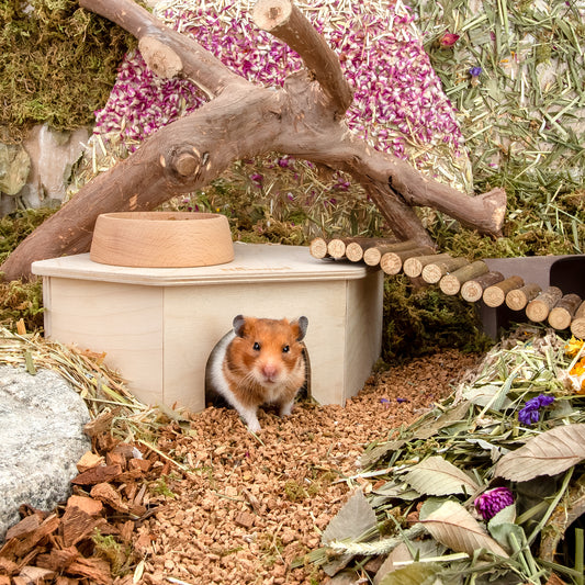Niteangel Birch Chamber Maze Hamster Hideout - Small Pets Forest House Habitat Decoration for Hamster Mice Gerbils〔Triangle-Shaped Hamster Hut〕