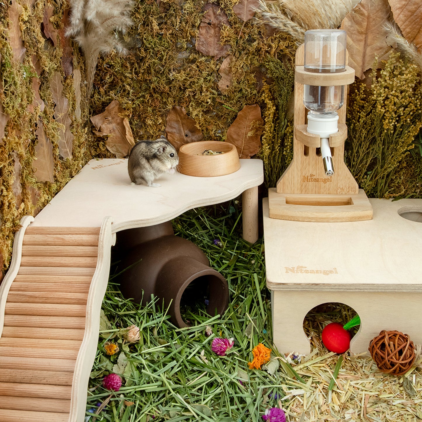 Niteangel Hamster Play Wooden Platform for Dwarf Syrian Hamsters or Other Small Pets (Triangle)