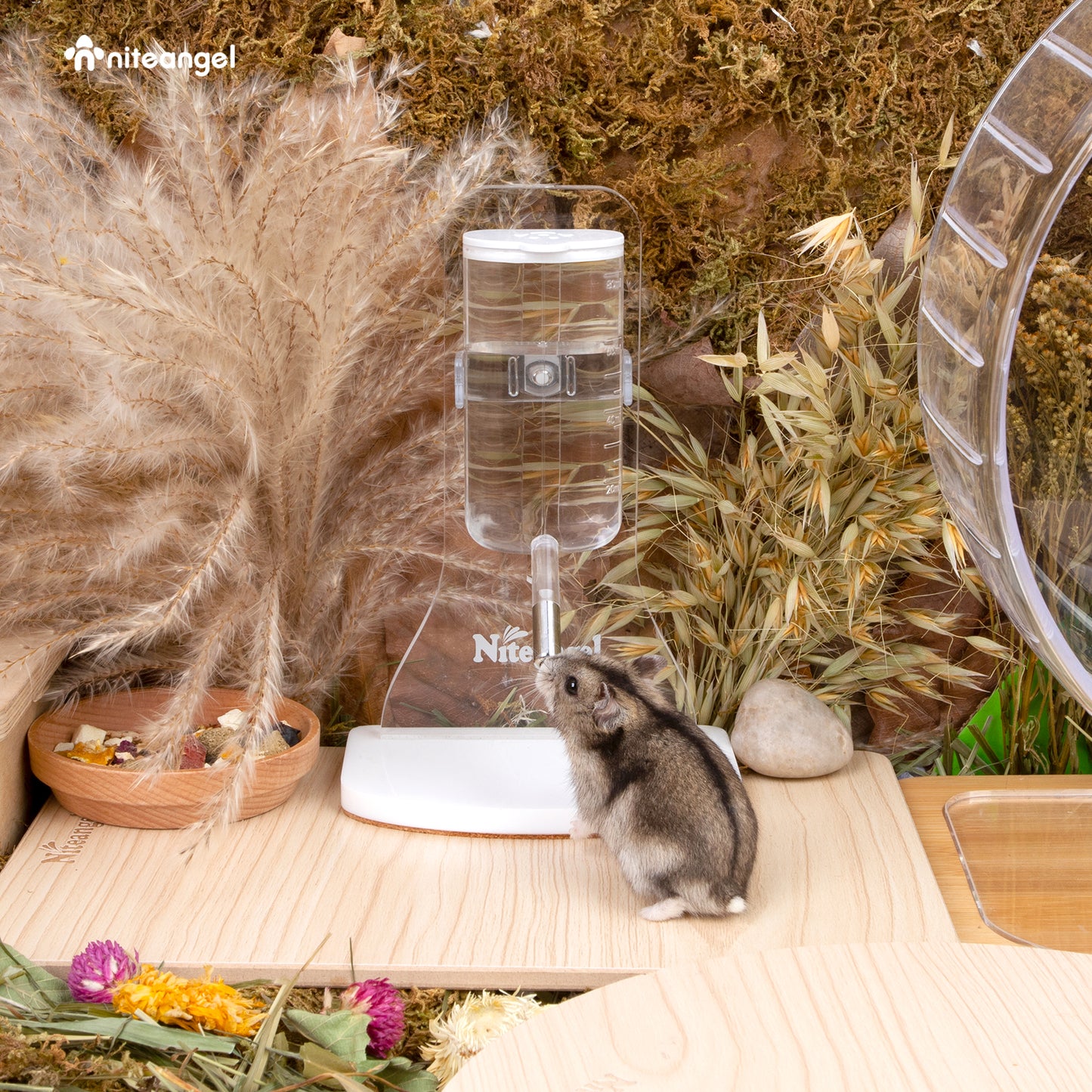 Niteangel Water Bottle with Stand for Syrian Dwarf Hamsters Gerbils Mice Rats Degus Small pet (Transparent)