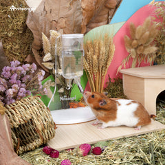 Niteangel Water Bottle with Stand for Syrian Dwarf Hamsters Gerbils Mice Rats Degus Small pet (Transparent)