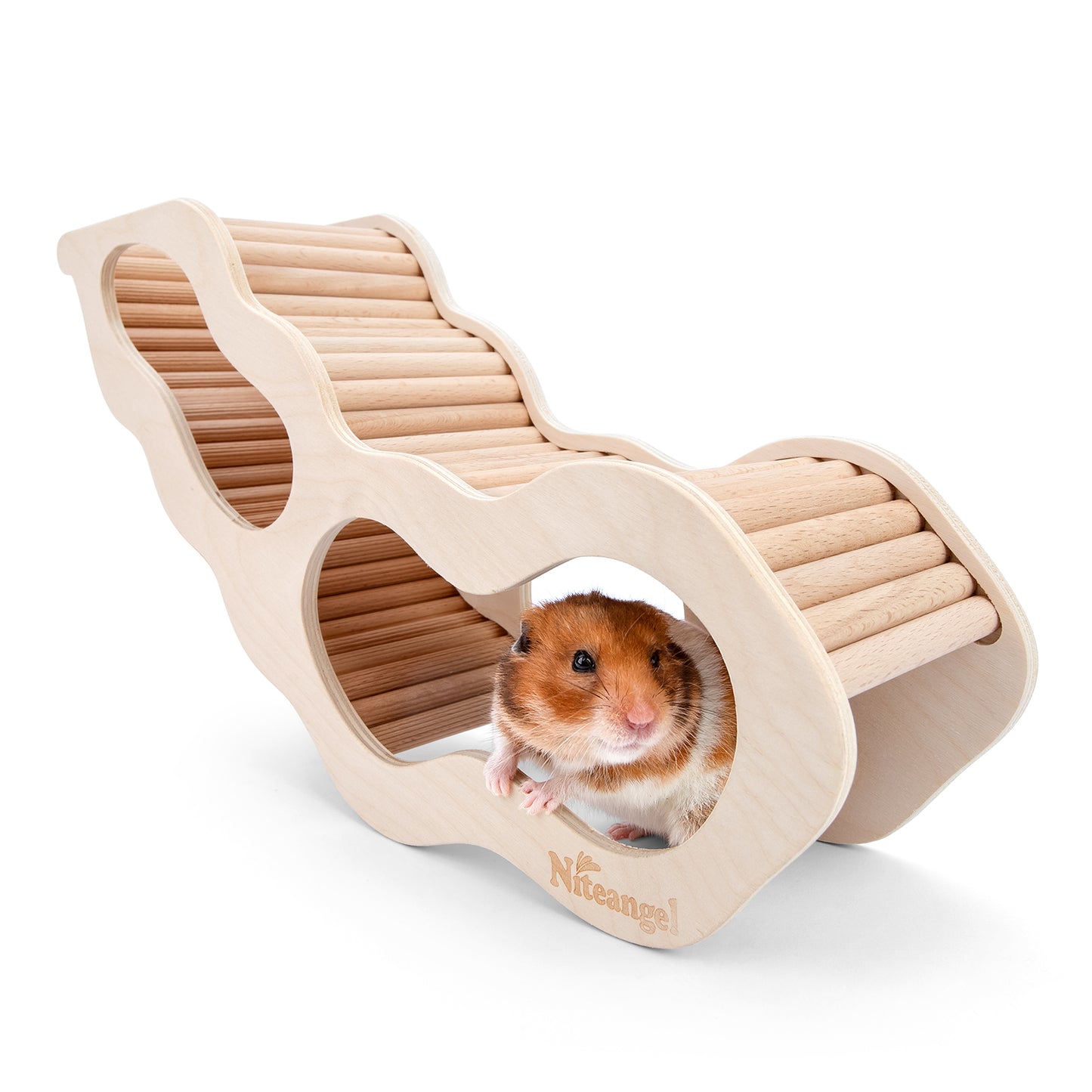 Niteangel Hamster House w/Climbing Ladder for Hamsters Gerbils Mice or Similar-Sized Pets