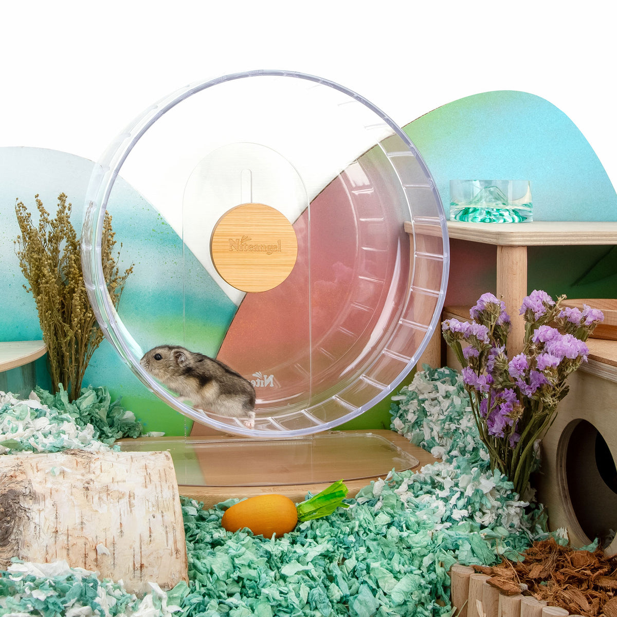 Hamster Wheel Why Hamsters Love Running On The Wheel? Choose The