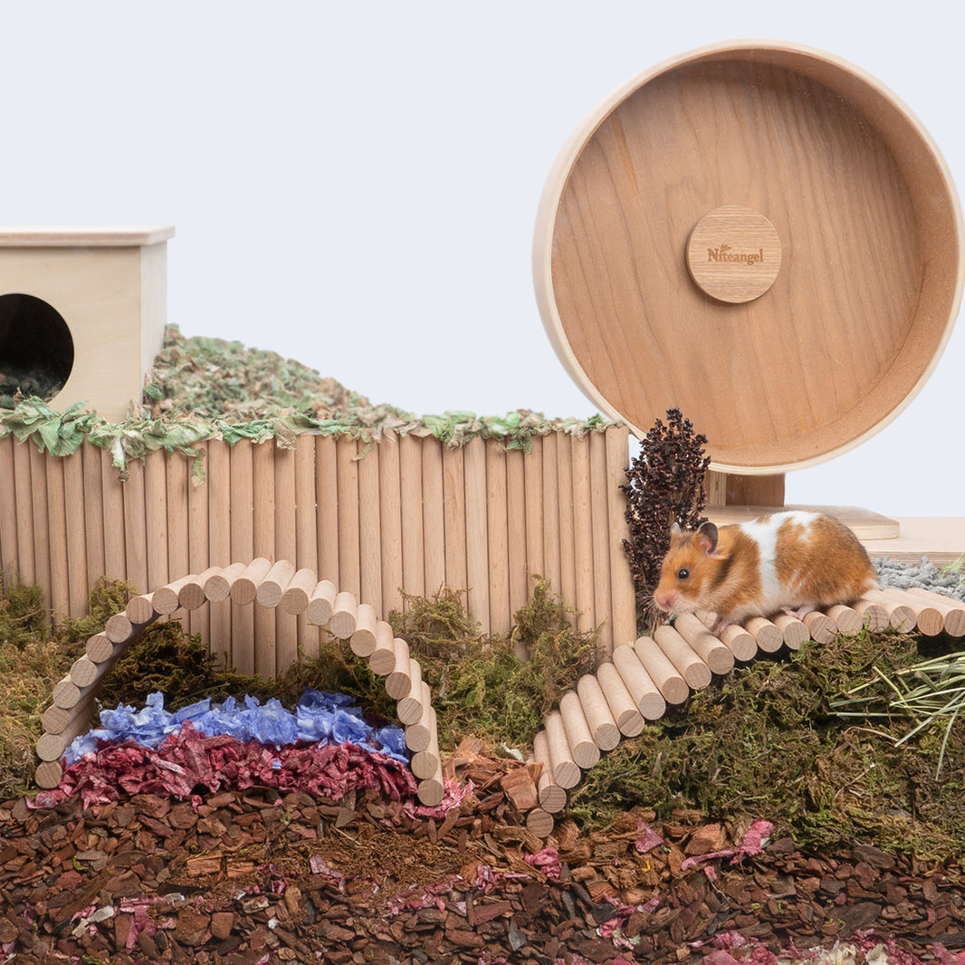 Accessories Niteangel Pet UK