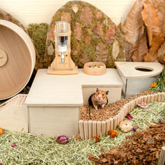 Niteangel Birch Chamber-Maze Hamster Hideout - Small Pets Woodland House Habitats Decor