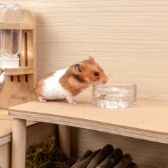Niteangel Hamster Feeding & Water Bowls- Mount Fuji Series Glass Drinking Bowls for Dwarf Syrian Hamsters Gerbils Mice Rats or Other Similar-Sized Small Pets