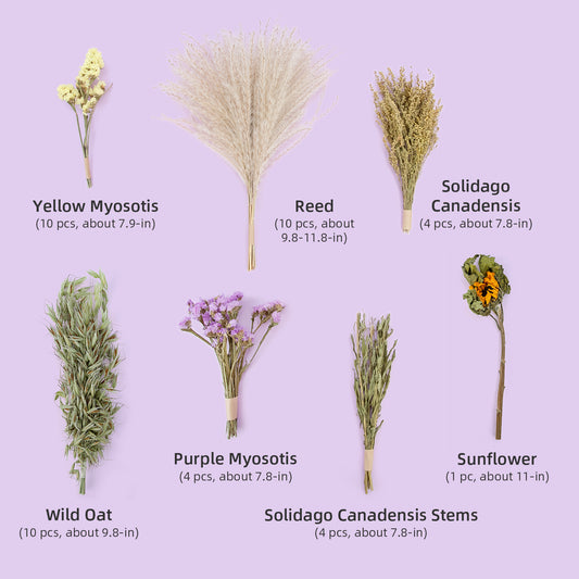 Niteangel harvest wind dried flowers and sprays for hamsters gerbils mice