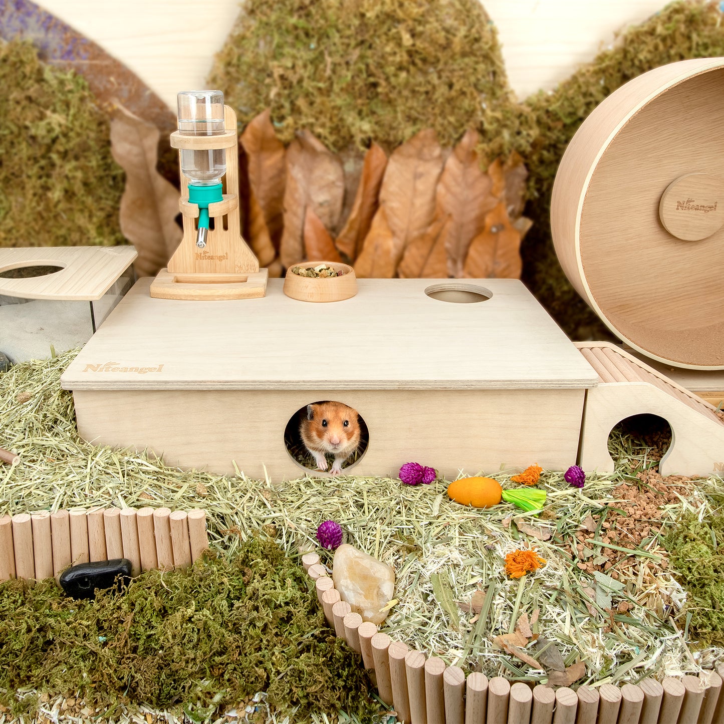 Niteangel Multi-Chamber Hamster House Maze: Multi-Room Hideouts & Tunnel Exploring Toys〔6-Room〕