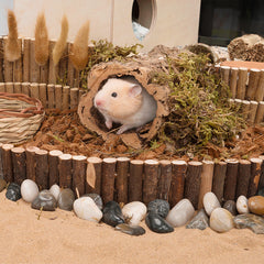 Niteangel Hamster Suspension Bridge Toy - Long Climbing Ladder