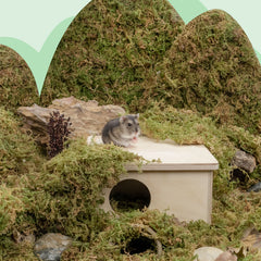 Niteangel Forest Moss Soft Natural Moss Bedding Nesting for Small Pet