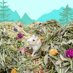 Niteangel Natural & Soft Hamster Bedding〔Forest Floor Series〕