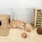 Niteangel Small Animal Aspen Bedding: - for Syrian Dwarf Hamster Gerbil Mice Lemming Degu or Other Small Pets