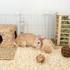 Niteangel Small Animal Aspen Bedding: - for Syrian Dwarf Hamster Gerbil Mice Lemming Degu or Other Small Pets