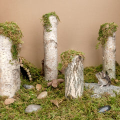 Niteangel Forest Moss Soft Natural Moss Bedding Nesting for Small Pet